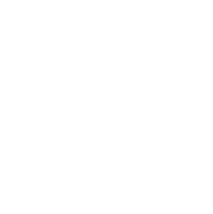 futureVision2030