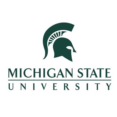 michigan state university